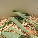 神保町 傳 - 箱の中身は