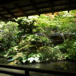 うかい鳥山 - 【2016.7】部屋からの庭の眺め