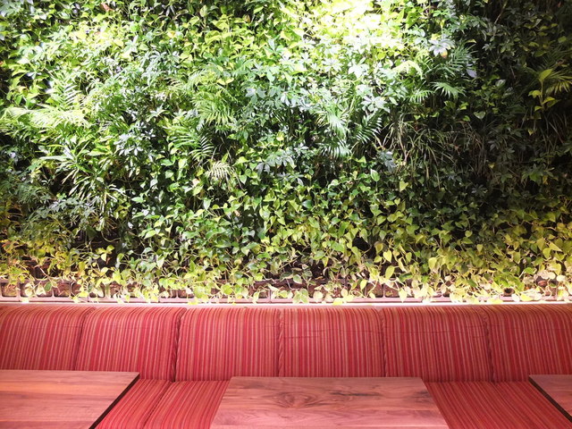 Bar&Restaurant COCONOMA photo 4