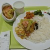 インド式カレー 夢民 ダイバーシティ東京プラザ店