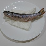 山の仙人 淳  - 幻の魚　生の天然のアマゴ