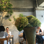 ノコス ア レタージュ - 