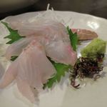 野毛八 - 真鯛？_2016/08