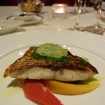 青山 エリュシオンハウス - 