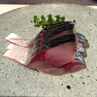 晴庵 - 