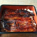 Ikiunagi Shami - 