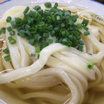 純手打ち讃岐うどん 綾 - 2016/08 このエッジの効いた太さの違う麺がガツンと美味しい