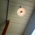 シャンディ ニヴァース カフェ - 天井