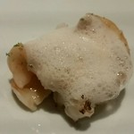 アカ - 白トリ貝