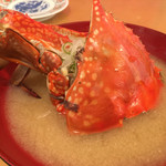 廻鮮寿司 塩釜港 - 蟹がハンパない「カニ汁」〜♫（2016.8）