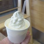 ウッドベリーズ - この日注文したすりおろししょうがは、一見ただのフローズンヨーグルトにしか見えず