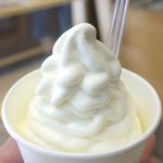 ウッドベリーズ - 近づいてみても特に変わった印象はありません。