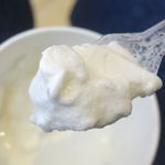 ウッドベリーズ - 最終的には液状化した状態なフローズンヨーグルトをごクリと飲むような要領で完食しました。