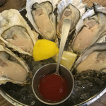 SALTY Oyster House - 