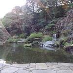 日本料理「雲海」 - 窓から見た日本庭園