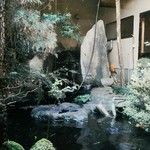 割烹 花月 - 通路横には池