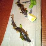 りょうりや 御旅屋 - 琵琶湖　鮎