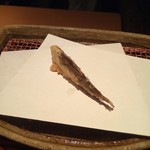 みかわ 是山居 - 鮎