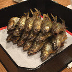 出雲 - 【再訪⑤】2016/07/30（土）dinner