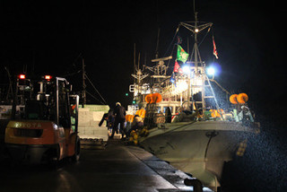 Domannaka - 全国の漁場と契約している【岬水産】の活魚へのこだわり！