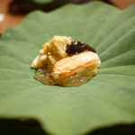 松川 - 毛蟹と生きくらげ