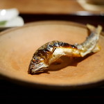 松川 - 安曇川　鮎