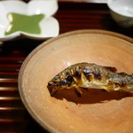 松川 - 針畑川　鮎