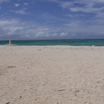 ダイニングテラス - 