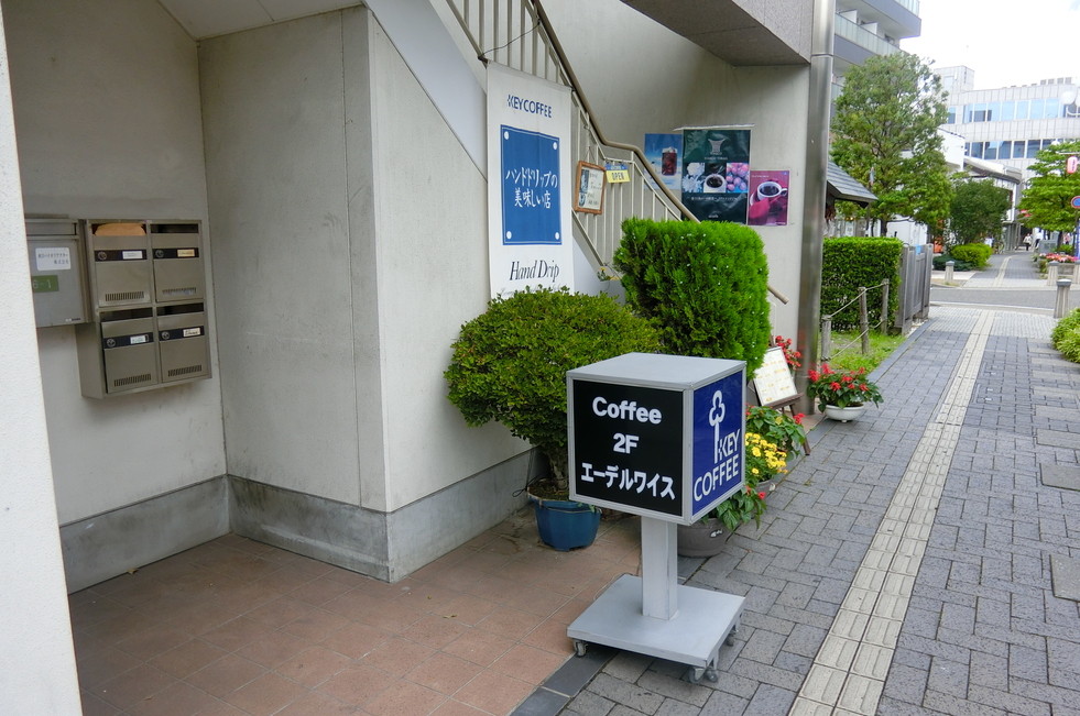 エーデルワイス name=