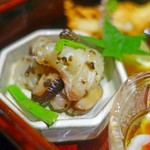 エノテカ パージナ - スズキと肉厚椎茸