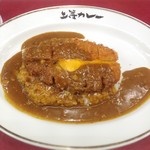 上等カレー - カツカレー880円