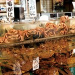 海光房 - 玄関入ってすぐに見える9トンの巨大水槽には、『活』の蟹や魚、貝類などが沢山！目で見ても楽しめるテーブル席が人気です！