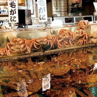 北海道最大級の店内の大型水槽から食べたいものを選んで。