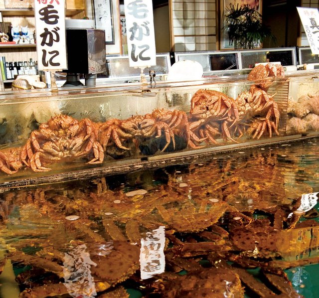 海光房 - 函館（居酒屋）の写真