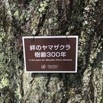 ザ・プリンス ヴィラ軽井沢 センターハウス - 