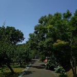 里山Cafe 多三郎山荘 - 右側に3台駐車可能です