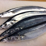 Rakuzan - 8月のおすすめ　新秋刀魚：今年も新秋刀魚が入荷してきました。
      刺身、焼物、握りで。