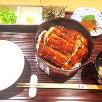 うなぎ料理 澤正 - 