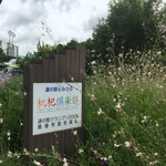 道の駅とみうら 枇杷倶楽部 - 道の駅グランプリにもら選ばれた
                                
                                素敵なお庭♫