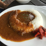 道の駅とみうら 枇杷倶楽部 - ランチセット
                                枇杷カレー
                                名物らしい