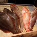 俺の魚を食ってみろ!! - 