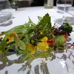 レフェルヴェソンス - 【西と東と〜 47種類のお野菜たち】◎2016/7