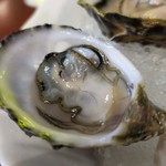 小島葡國餐廳 - 