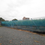 スモールフルーツランド ベリーコテージ - ブルーベリー畑