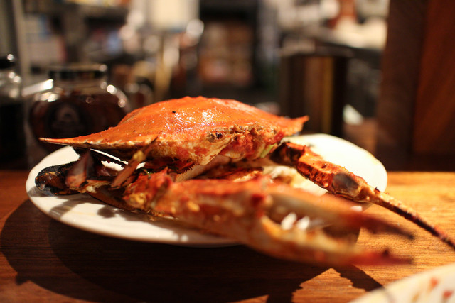 Pizzeria qoolio photo 3