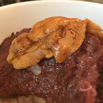 SATOブリアン - 2016/7_ブリ飯