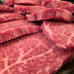 SATOブリアン - 2016/7_ヒレ