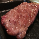 SATOブリアン - 2016/7_タン