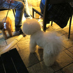 Mr.FARMER - やっと’仲良し’できました！！