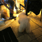 Mr.FARMER - あれ？ 僕のお水なんですけど